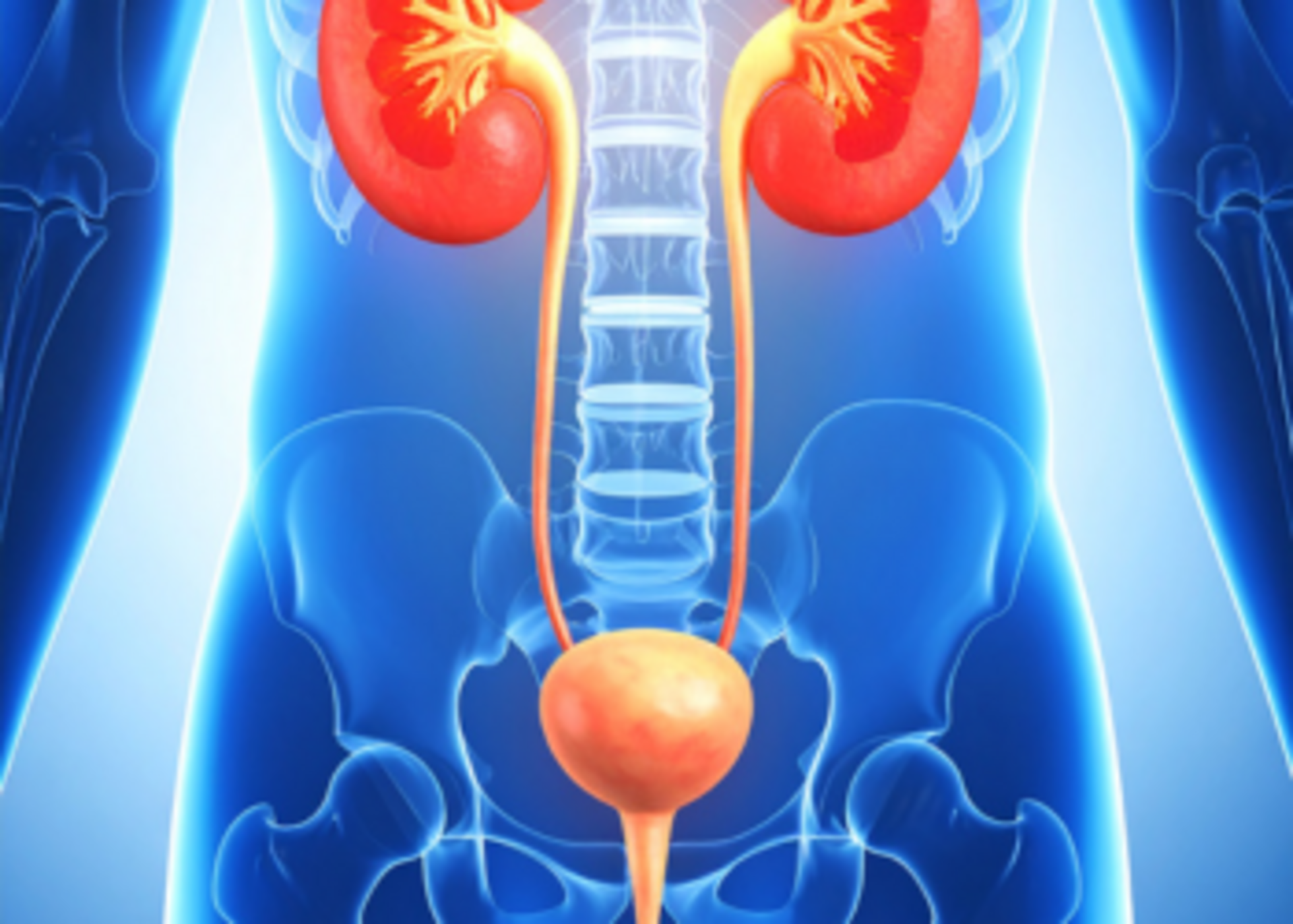 Urodynamics for Neurogenic Bladder: Accurate Diagnosis for Better Treatment| Dr. Veena Chaudhari